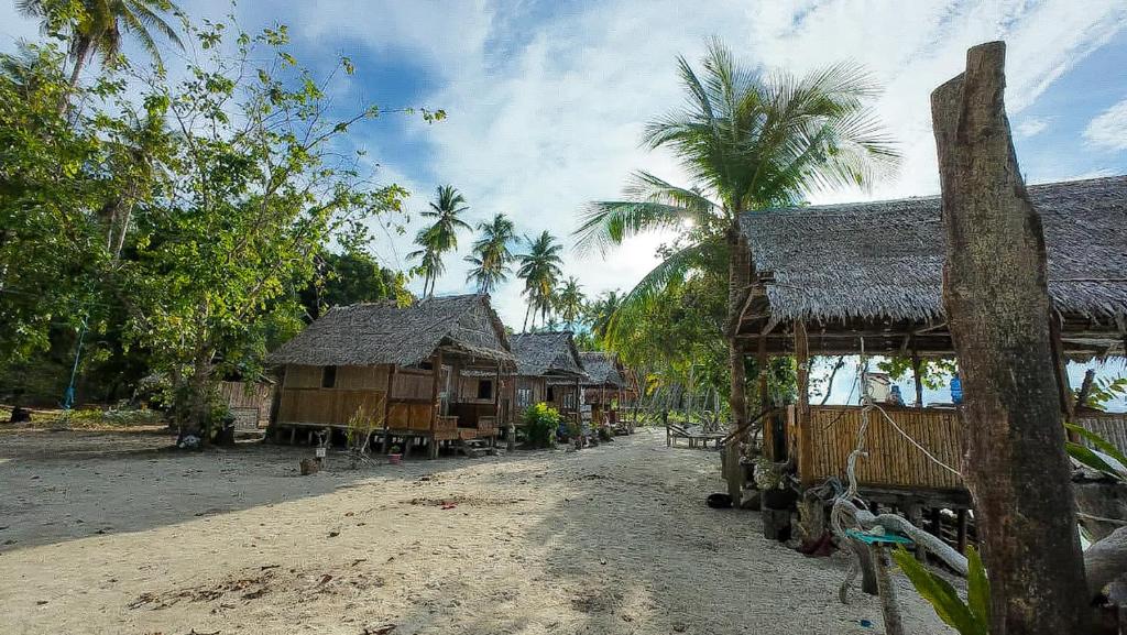 a village with houses and palm trees on a dirt road at Sau Baryam in Fam