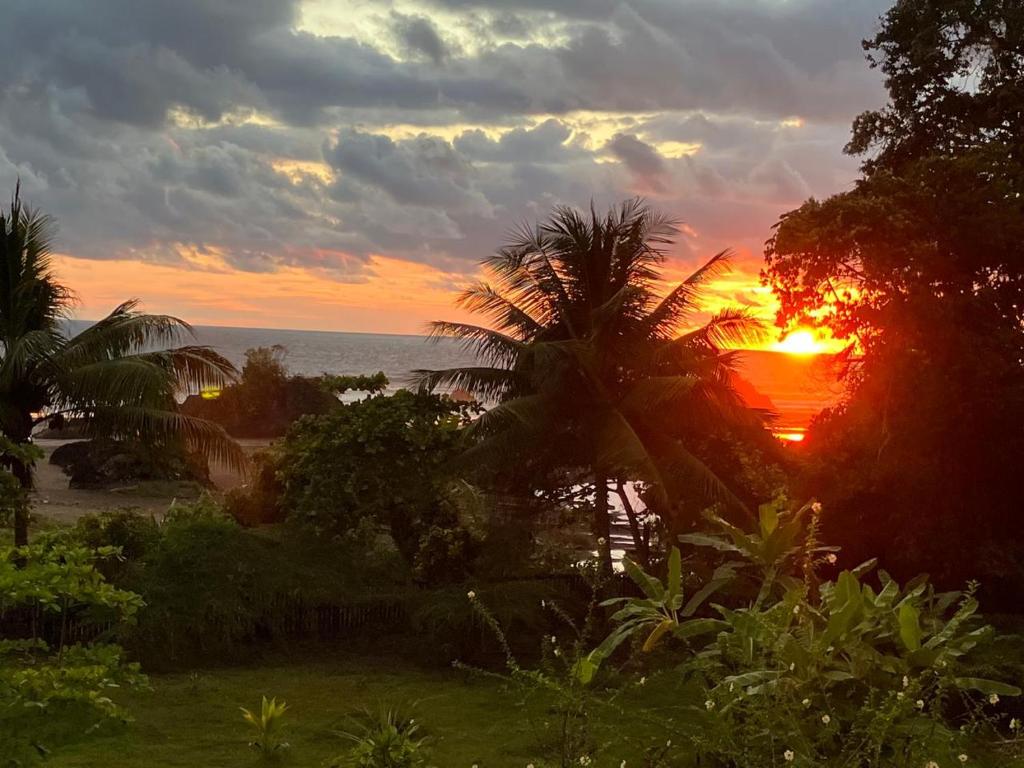 a sunset over the ocean with a palm tree at Villa Encanto in Bahía Solano