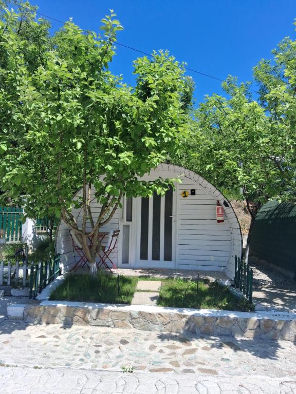 a small white house with a tree in front of it at Casutele verzi din Ocnele Mari in Ocnele Mari
