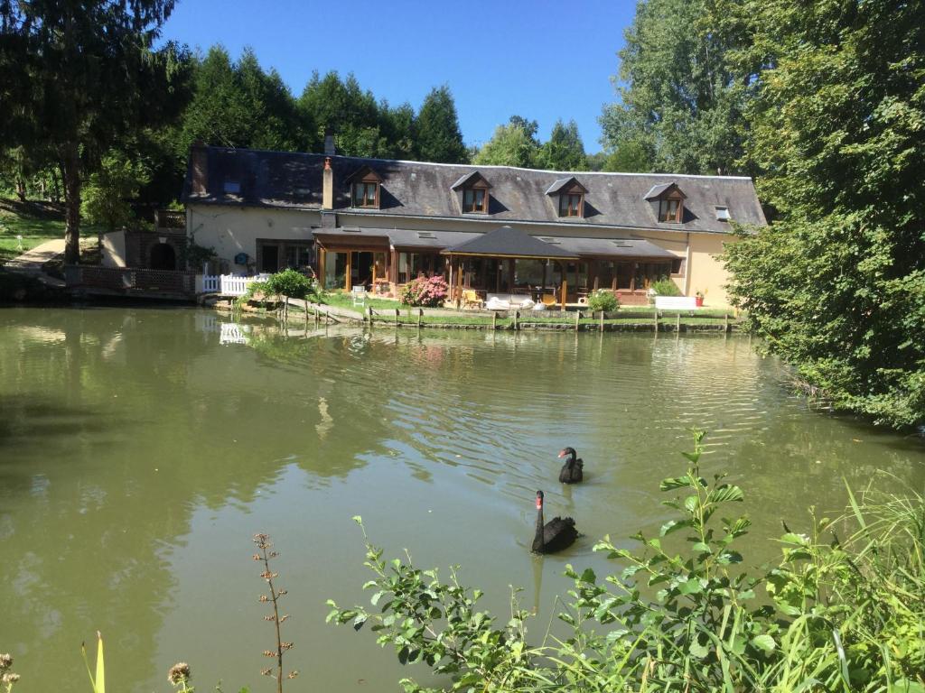 una casa en un lago con dos patos en el agua en Le Moulin Calme en Luceau