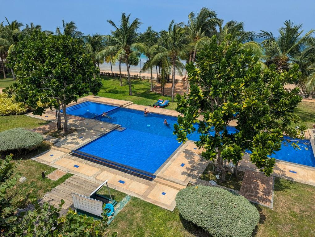 an overhead view of a swimming pool with palm trees at Oceanfront condo 3-2-01- Nilaveli in Nilaveli