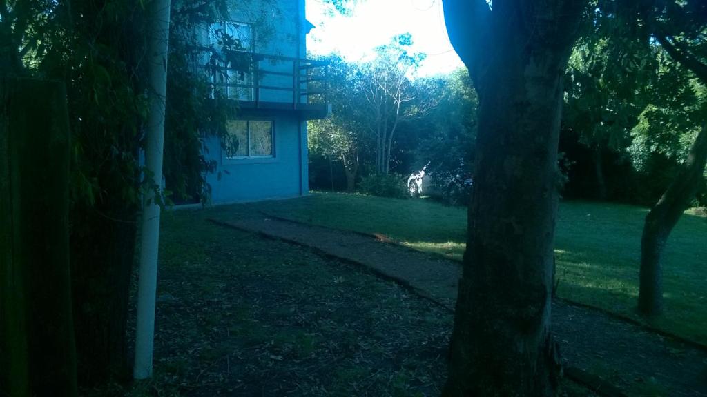 a house with a tree in front of a yard at La Vidurria in Piriápolis