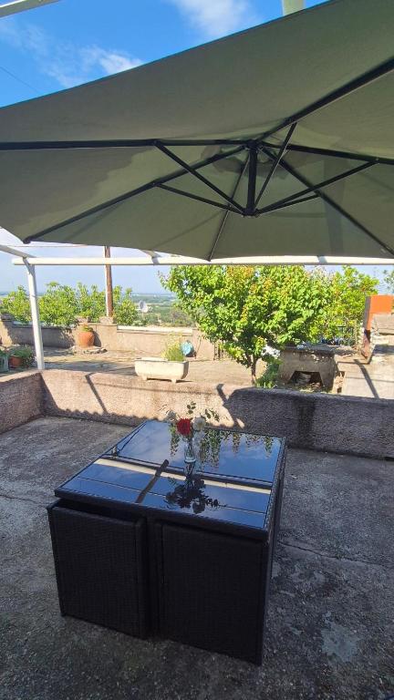 a large green umbrella with a table with flowers on it at Maison T3 Bastia Sud, Casamozza in Monte