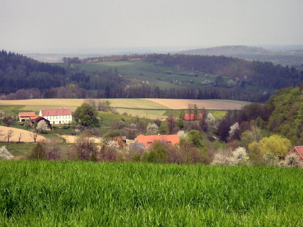 Příroda nedaleko bed and breakfast