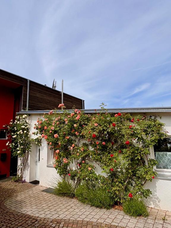 a building with a large bush of red flowers at Ferienwohnung Rosenrot in Überlingen