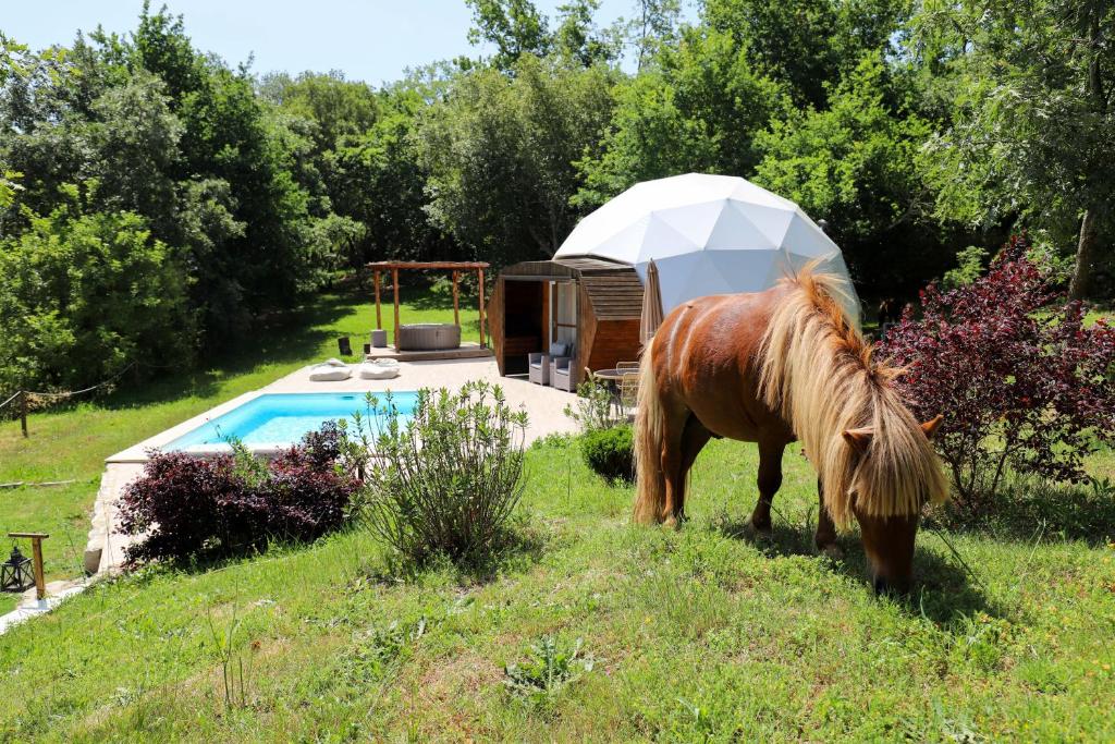 Pura - Home in Nature - imagen 3