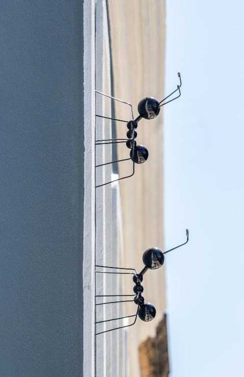 a group of birds sitting on the side of a building at RM The Experience - Small Portuguese Hotels in Setúbal