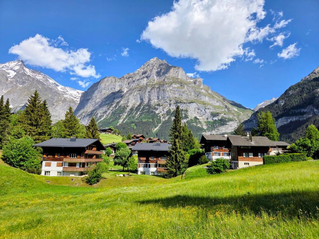 MOM - Alpine Boutique Apartments, Romantica, near Grindelwald Terminal