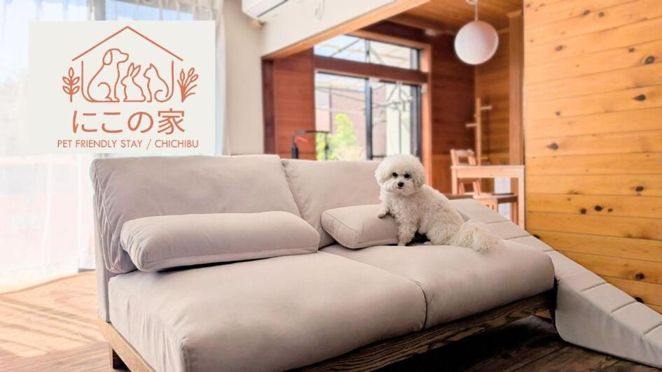 a white dog sitting on top of a couch at にこの家 --多頭飼い,大型犬も猫もうさぎも歓迎 秩父の一棟貸し-- in Chichibu