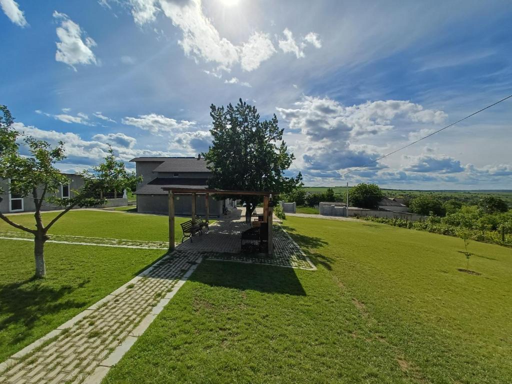 a view of a yard with a house at Arca lui Roman in Furceni