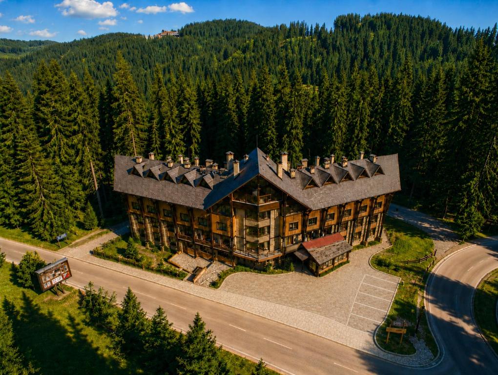 an aerial view of a large house in the woods at Effect Malina Residence Hotel in Pamporovo