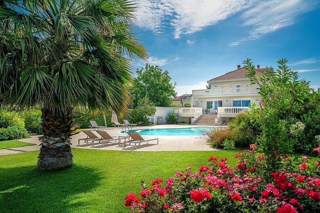 a house with a palm tree and a swimming pool at Le Dimore di Giò in campagna "Appartamento in villa" in Ortona