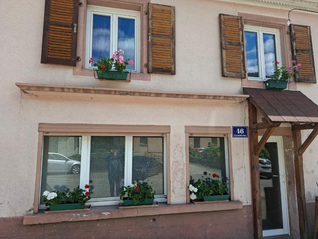 a building with three windows with flowers on it at La Maison du Cordonnier in Fréland