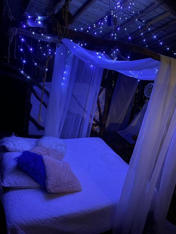 a bedroom with a canopy bed with blue lights at Bio Hotel - Eco Glamping El Refugio in Gigante