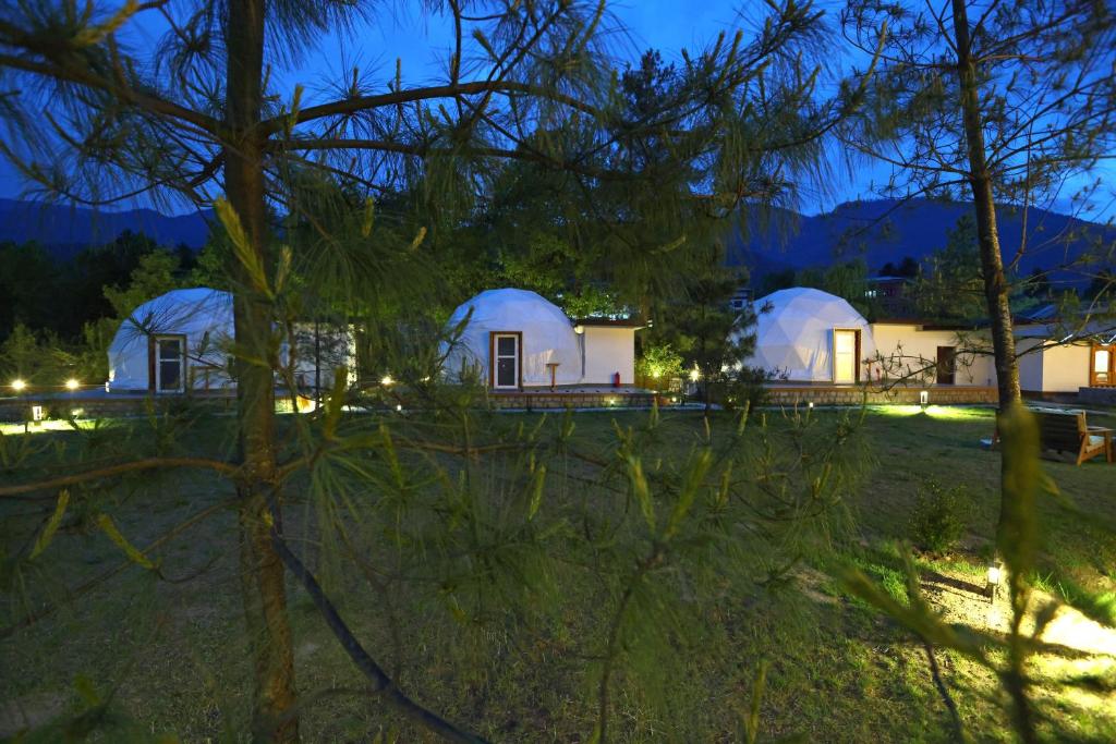 Highland Glamping Riverfront Luxury Dome Tent
