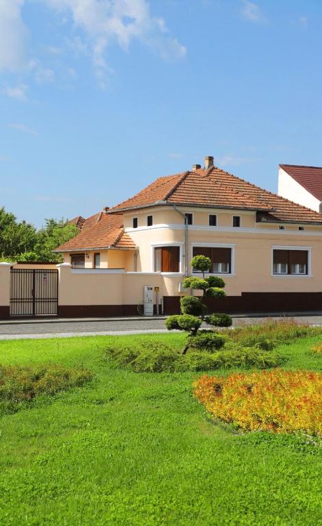 a house with a green lawn in front of it at Casa Tamplarului in Orăştie