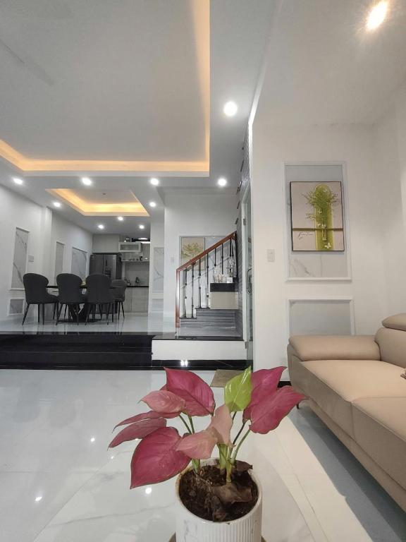a living room with a couch and a plant at Vinh House Homestay in Thôn Trường Giang