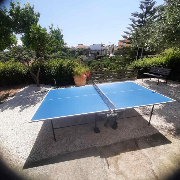 a blue ping pong table in a park at Saint Giovanni House in Kharokopión
