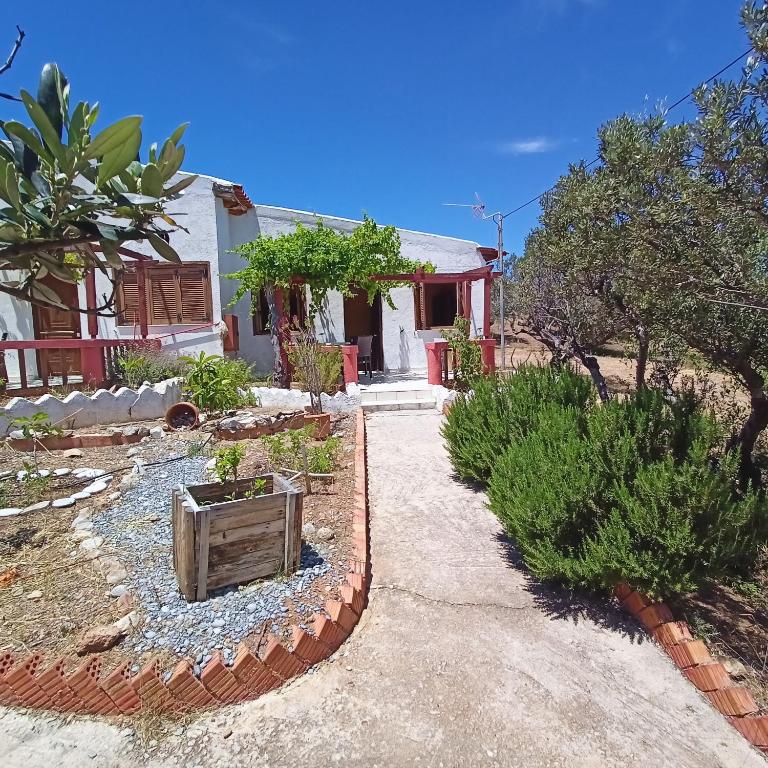 Sunrise Apartments - 