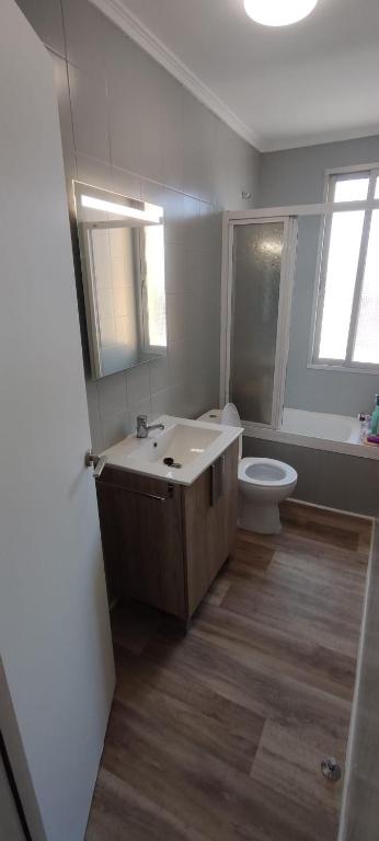 a bathroom with a sink and a toilet at Estafeta Apartament in Ponferrada