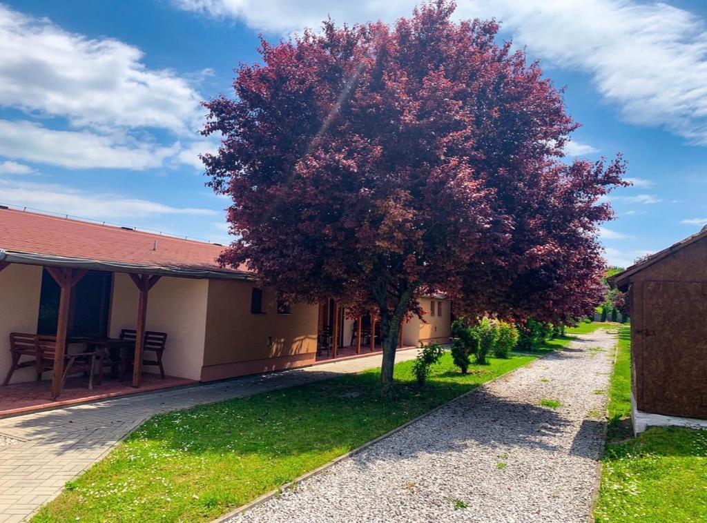 a tree in the yard of a house at Apartmány Harmónia in Veľký Meder