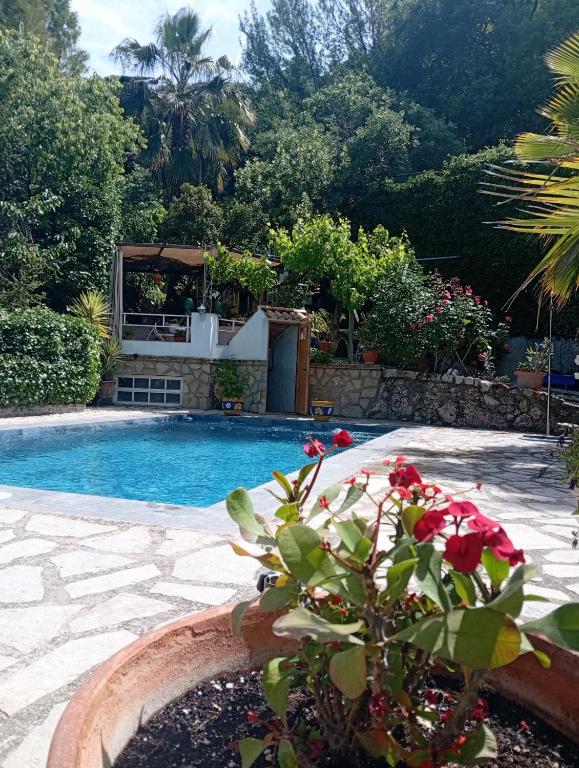 a swimming pool with a potted plant in a yard at Vega Fuente de las Moreras in Burunchel