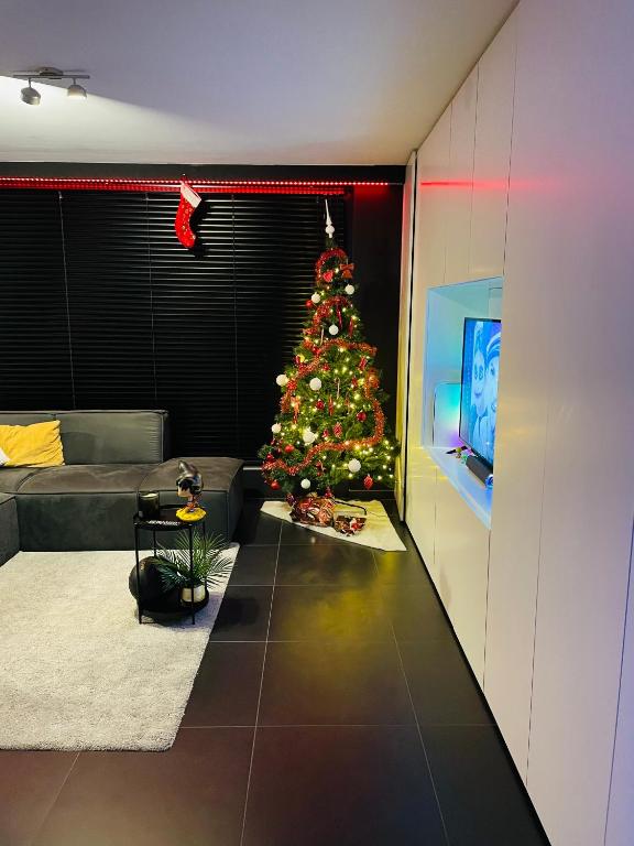 a christmas tree in a living room with a television at Tommorowland Apartement in Boom