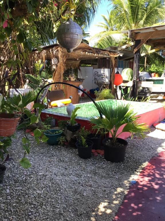 Tureva lodge - photo 10 - Rangiroa, Polynésie