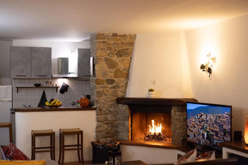 a living room with a fireplace in a kitchen at Happy Hen Garden Suite in Bivigliano