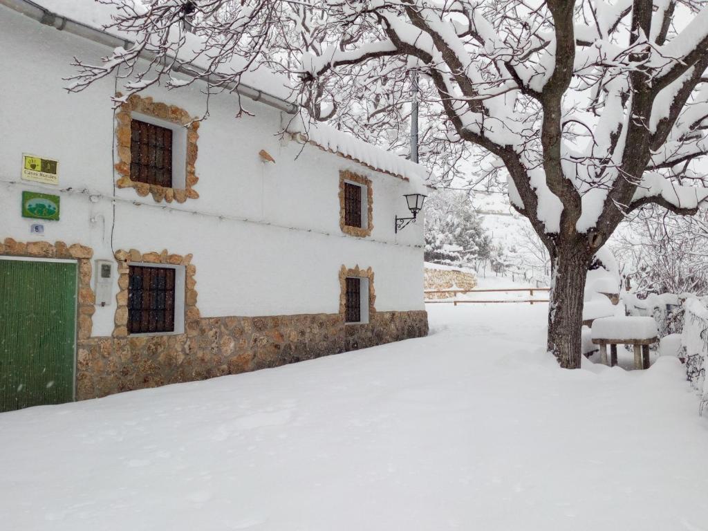 una casa cubierta de nieve junto a un árbol en Cortijo Ramon Petra, en Nerpio