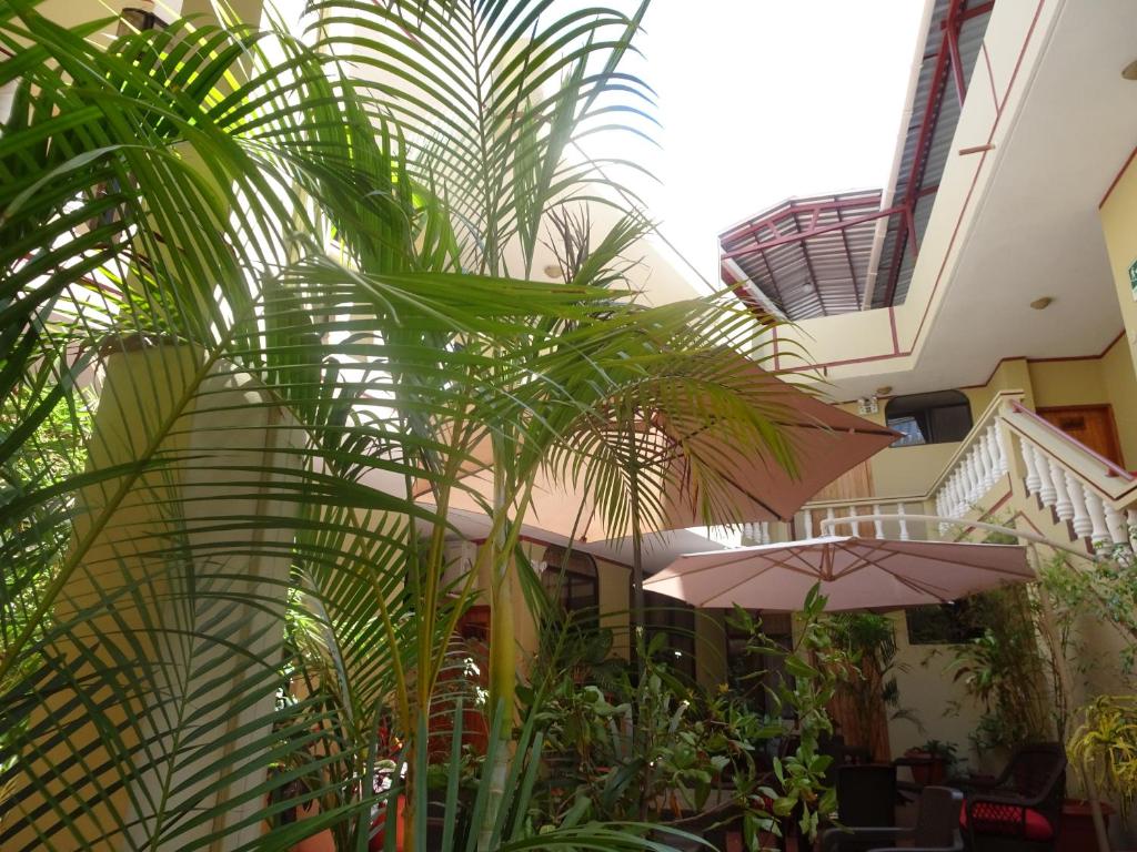 a room with plants and umbrellas in a building at Hotel Red Booby in Puerto Ayora