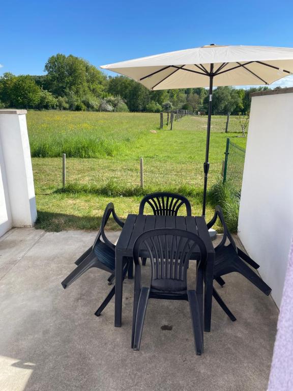 a black table and chairs under an umbrella at Studio de plein pied avec terrasse in Joncherey
