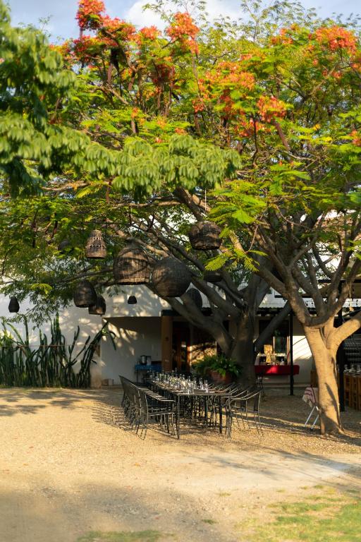 a table and chairs under a tree in front of a building at Casa Gulal in Teotitlán del Valle
