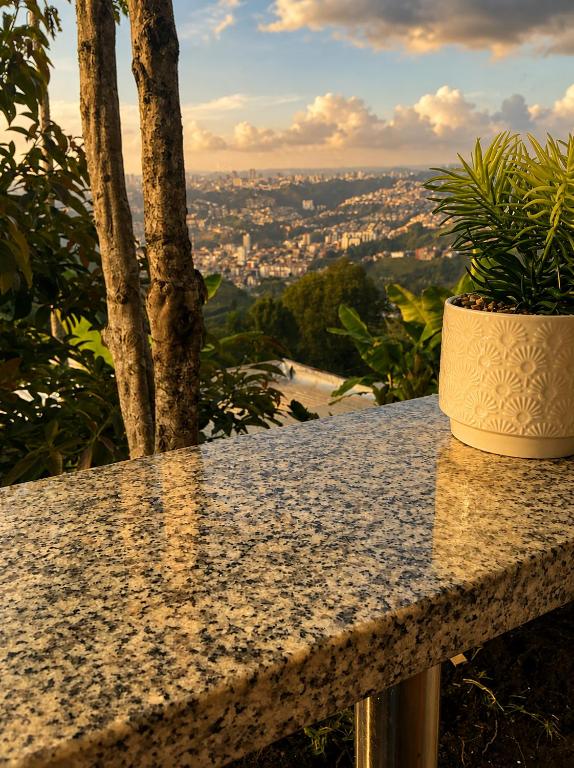 a stone table with a potted plant on it at ECOHostal Las Hamacas El Mirador A Manizales in Villamaría