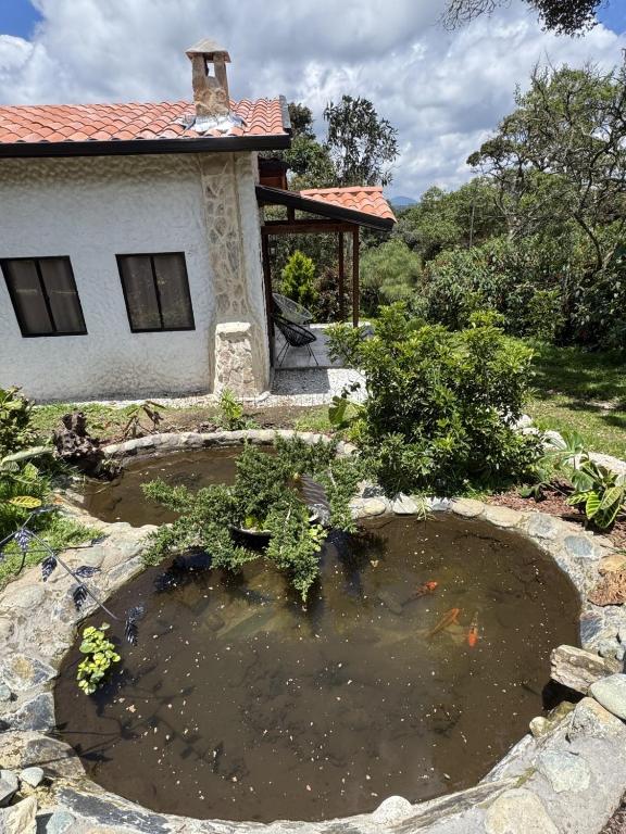 a koi pond in front of a house at Refugio del Lago in Envigado
