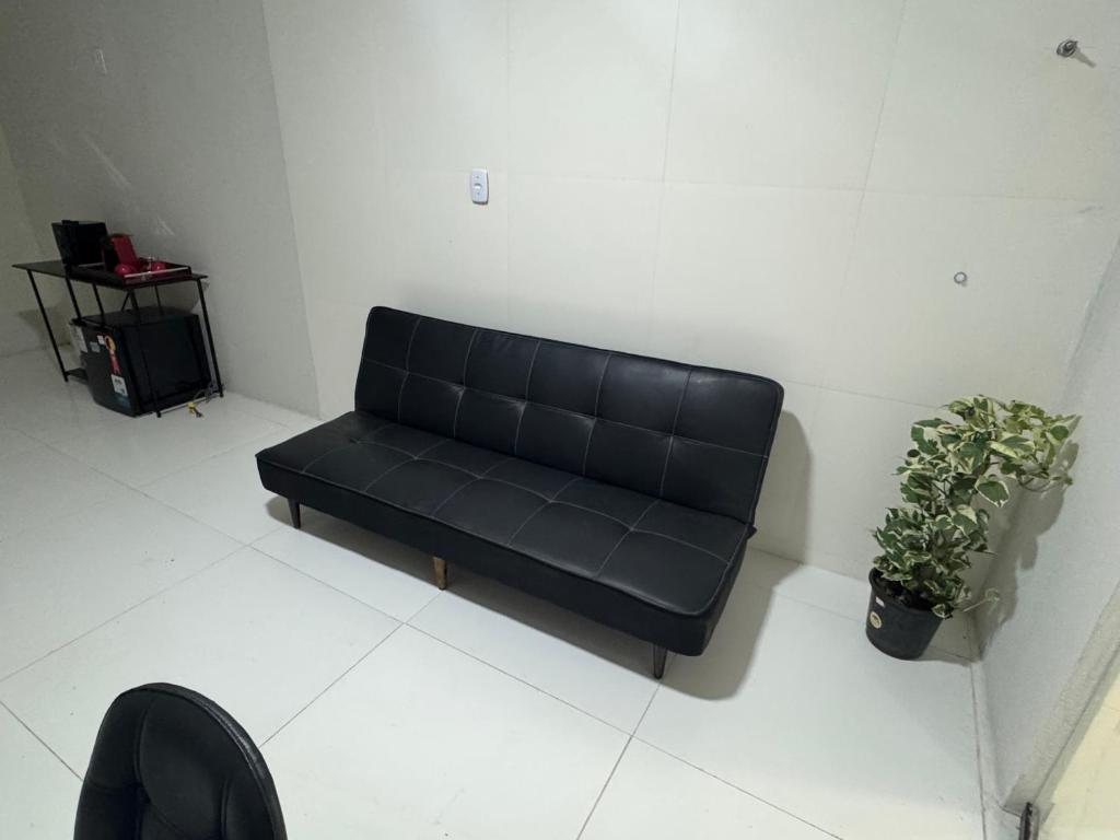 a black couch in a room with two plants at Flat Lucidata in Feira de Santana