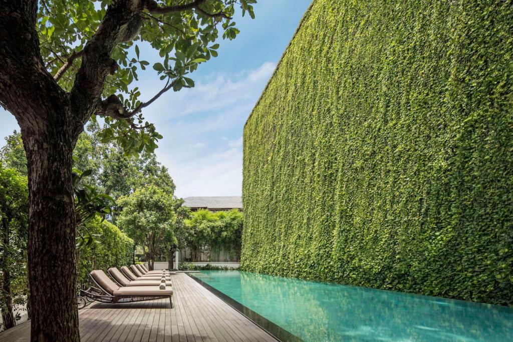 eine mit Efeu bedeckte Wand neben einem Pool in der Unterkunft 137 Pillars House in Chiang Mai