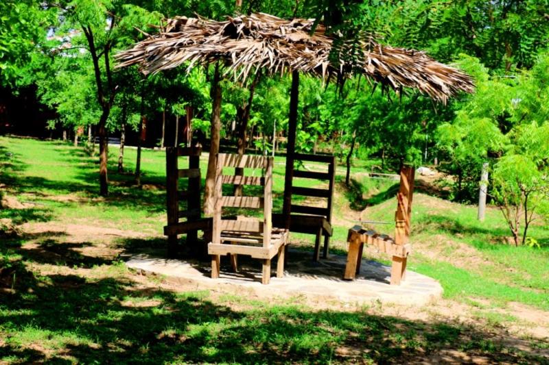 Zahrada ubytování Lavish Eco Jungle