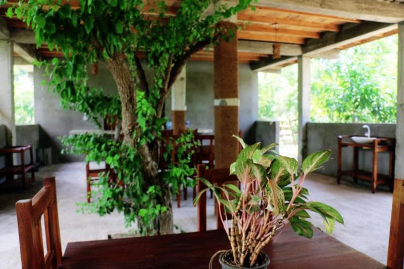 Zahrada ubytování Lavish Eco Jungle