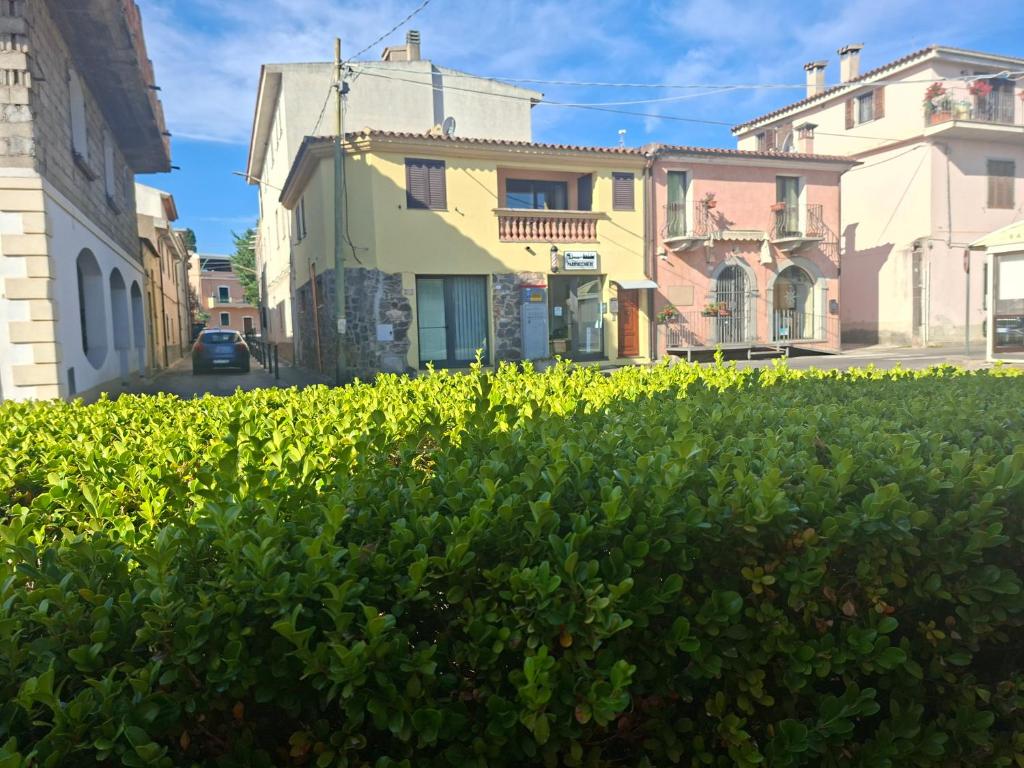 a house in the middle of a street at Casa Sant'Antonio in Orosei