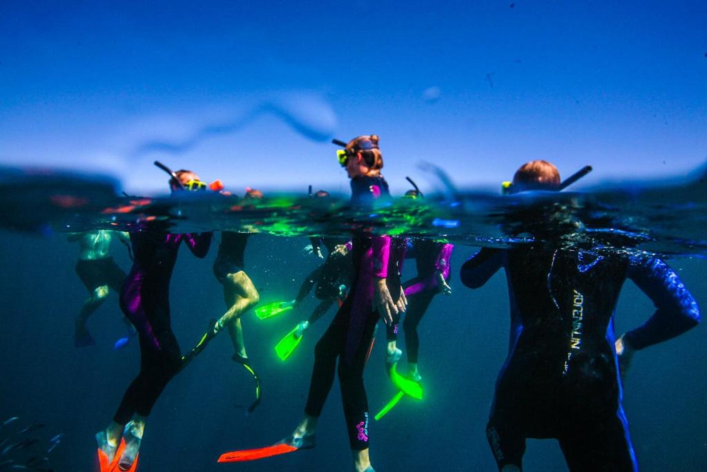 Hosté ubytování Sal Salis Ningaloo Reef