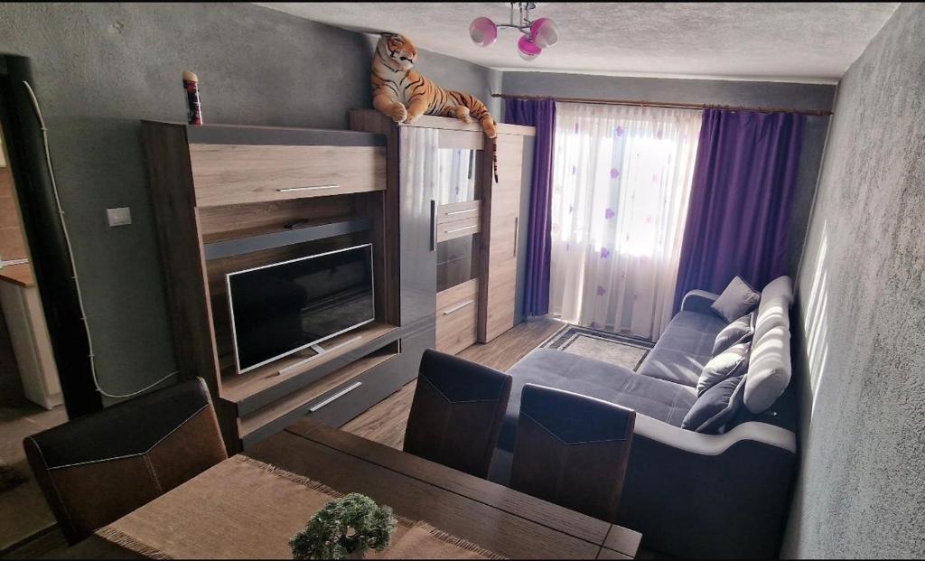a living room with a cat sitting on top of a couch at Modern Panoramic View Apartament in Sighetu Marmaţiei