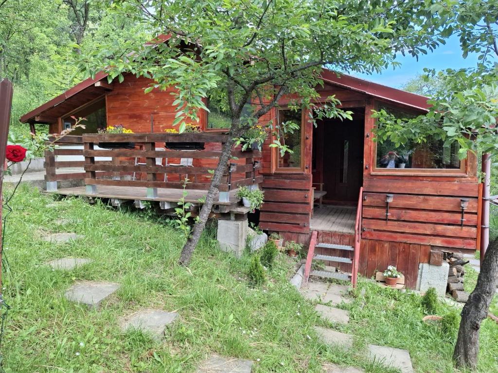 a log cabin with a staircase leading to the door at Cabana trenulețelor in Lunca Mare
