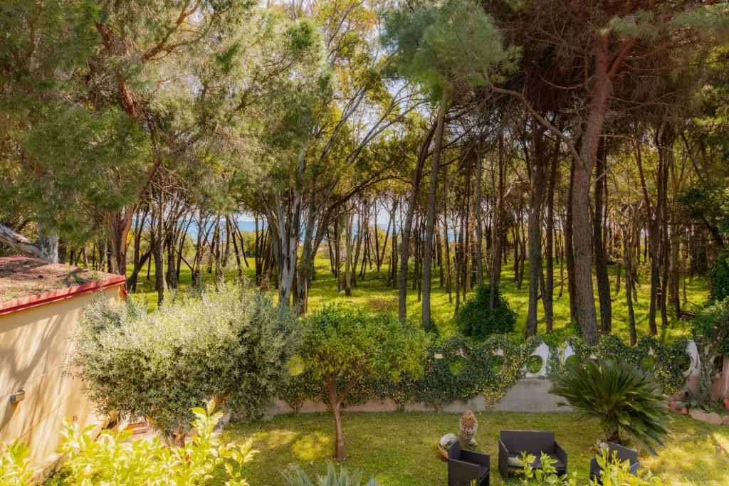 a view of a garden with trees and chairs at Oasi Scolacium in Villaggio Le Rocelle