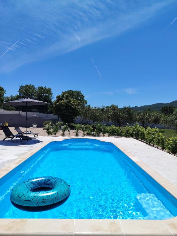 a swimming pool with a float in the middle at Villa Life in Vučevica