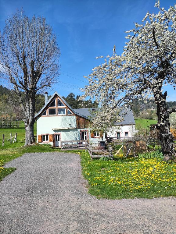 a large white house with trees and a gravel driveway at La maison dans les prés in Labaroche