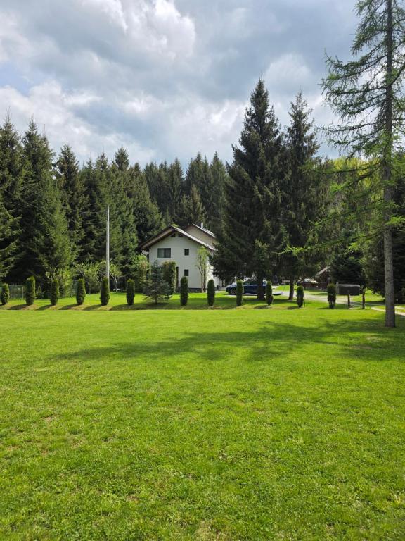Eine grüne Wiese mit einem Haus im Hintergrund in der Unterkunft Casa Danielle in Topliţa