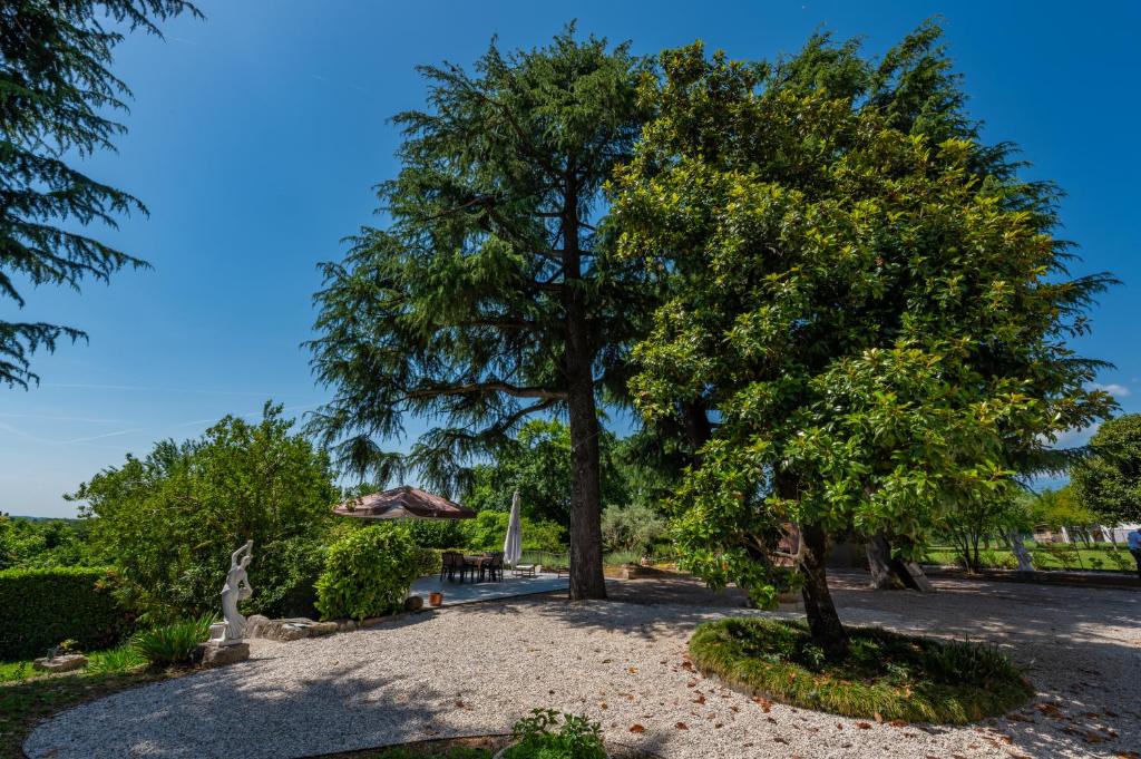 two trees in the middle of a park at 108 B&B Valdobbiadene in Bigolino