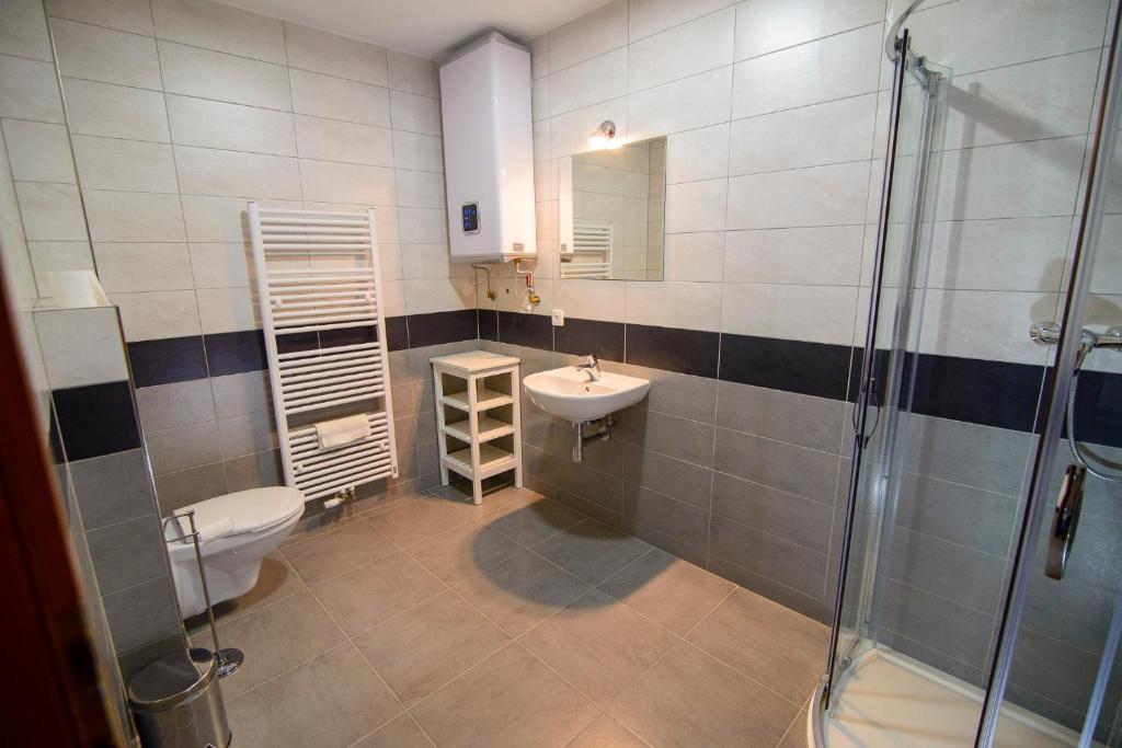 ein Bad mit einem WC, einem Waschbecken und einer Dusche in der Unterkunft Penzion Dyje in Hevlín