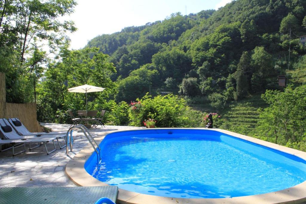 a blue swimming pool with a view of a mountain at Apartment Poesia in Bagni di Lucca